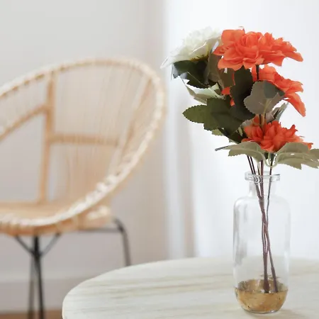 Tatil Evi La Doree By Interhome